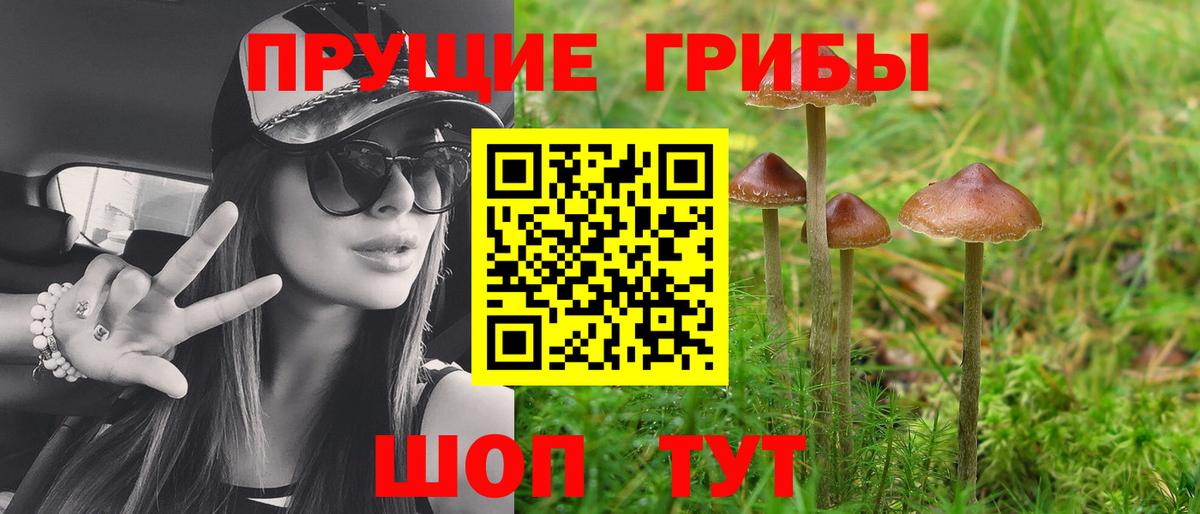 цена наркотик  Вход с VPN  Калач-на-Дону  Галлюциногенные грибы прущие грибы 